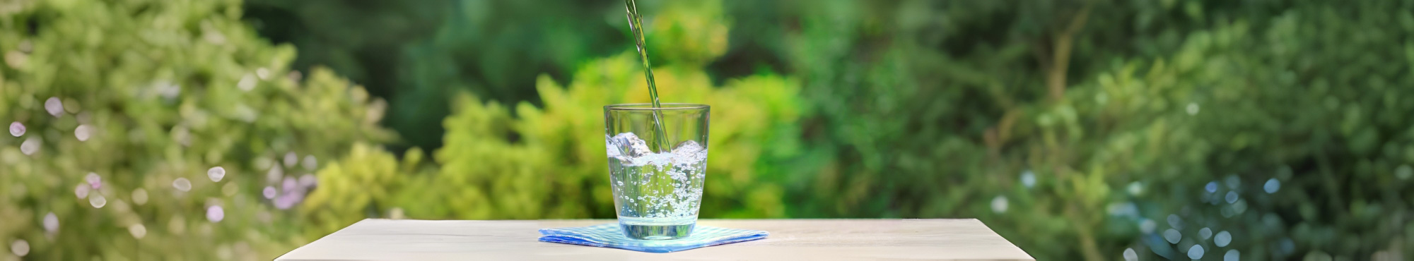 компания ВОДЭКА